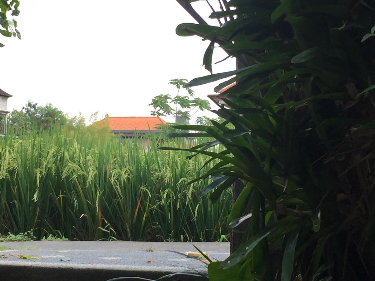 Depong House Apartment Ubud  Bagian luar foto
